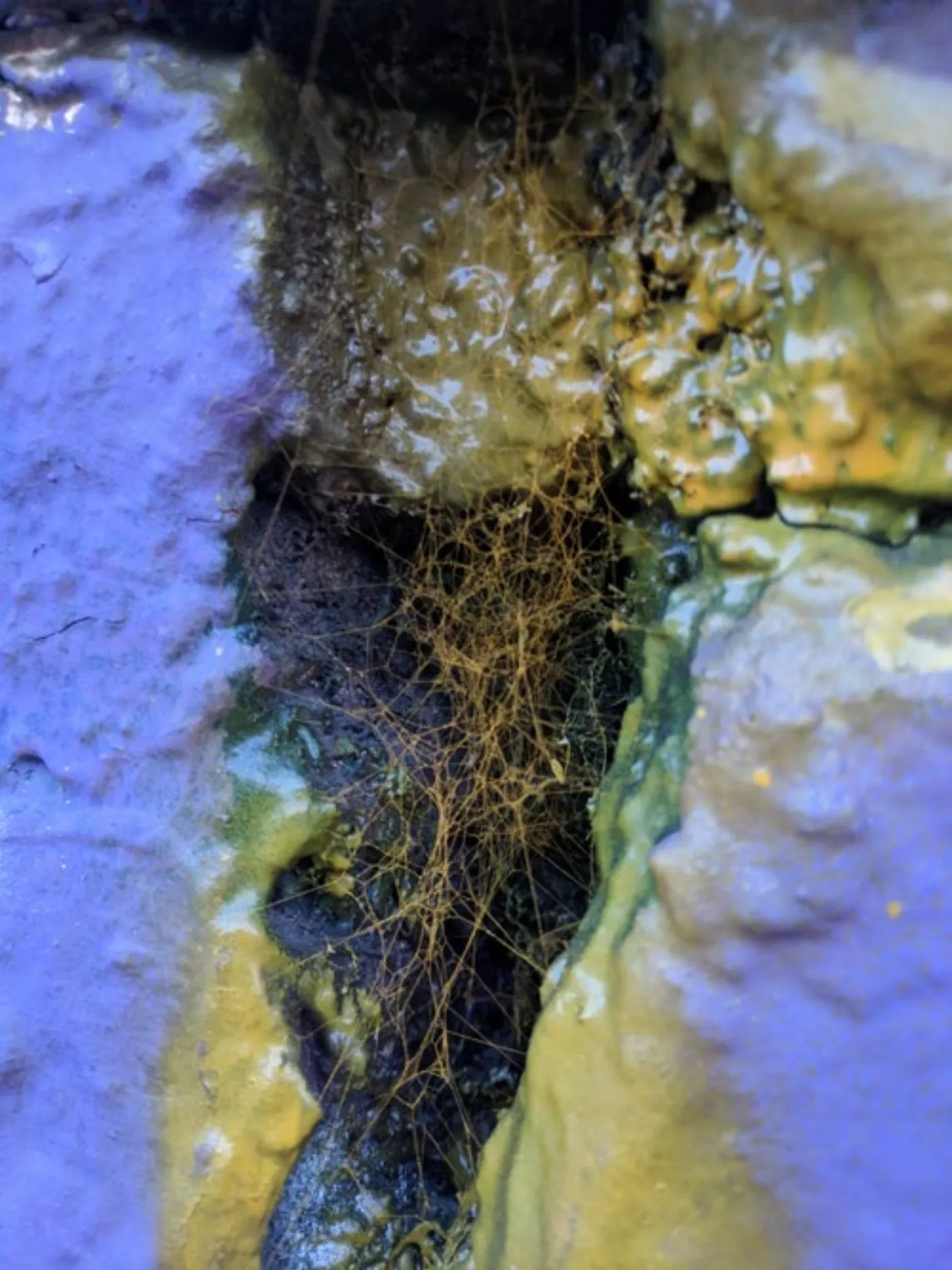 Surfaces — 308