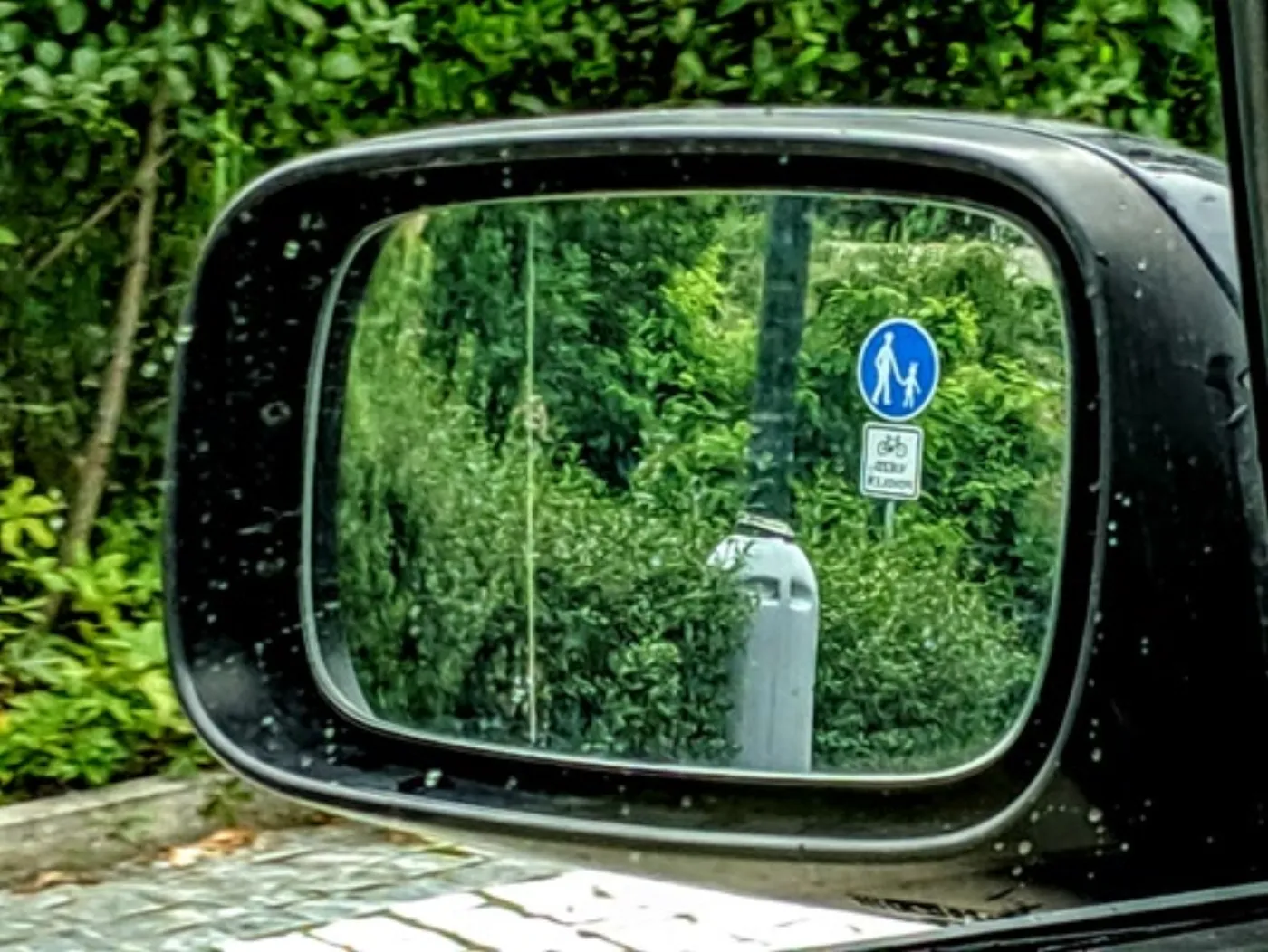 Reflections — 85