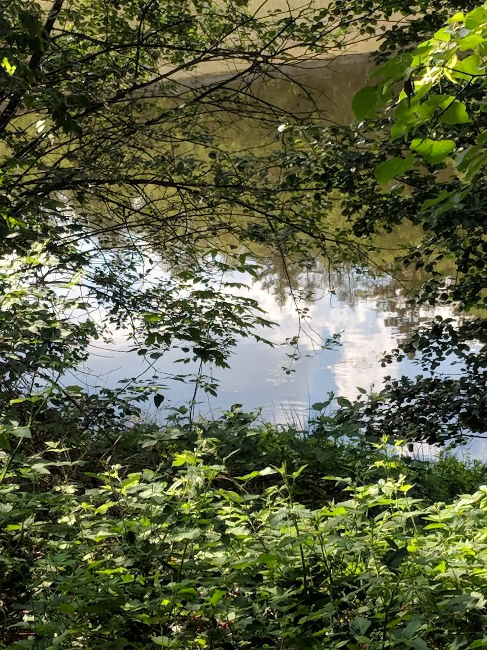 Reflections — 46
