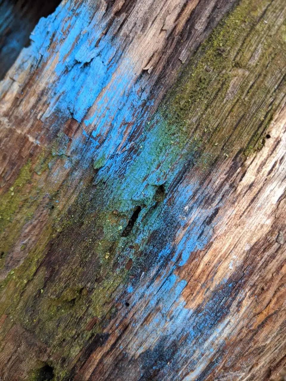 Surfaces — 63