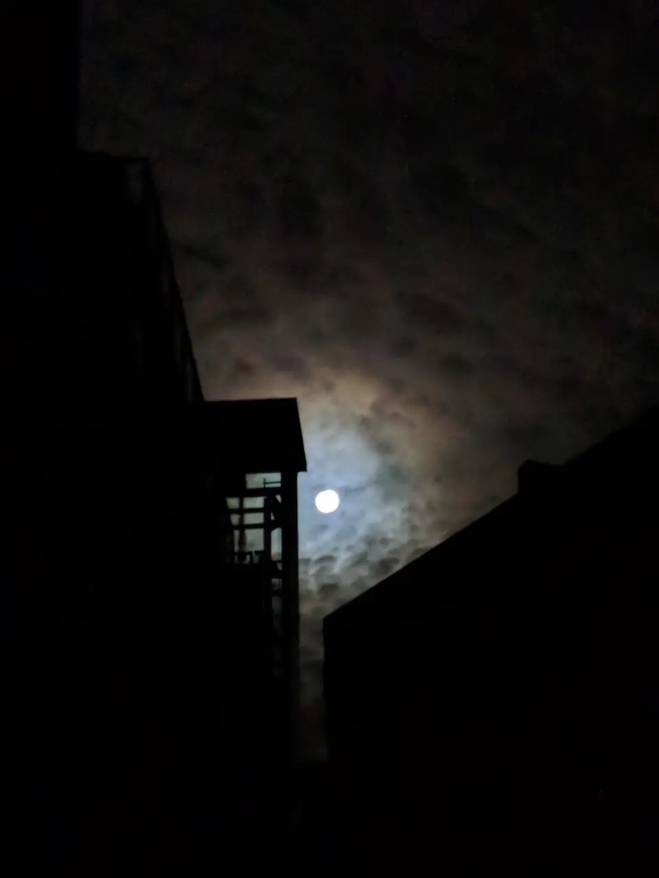 The Weird — 240